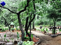 Booking Edom Accommodation Indiana