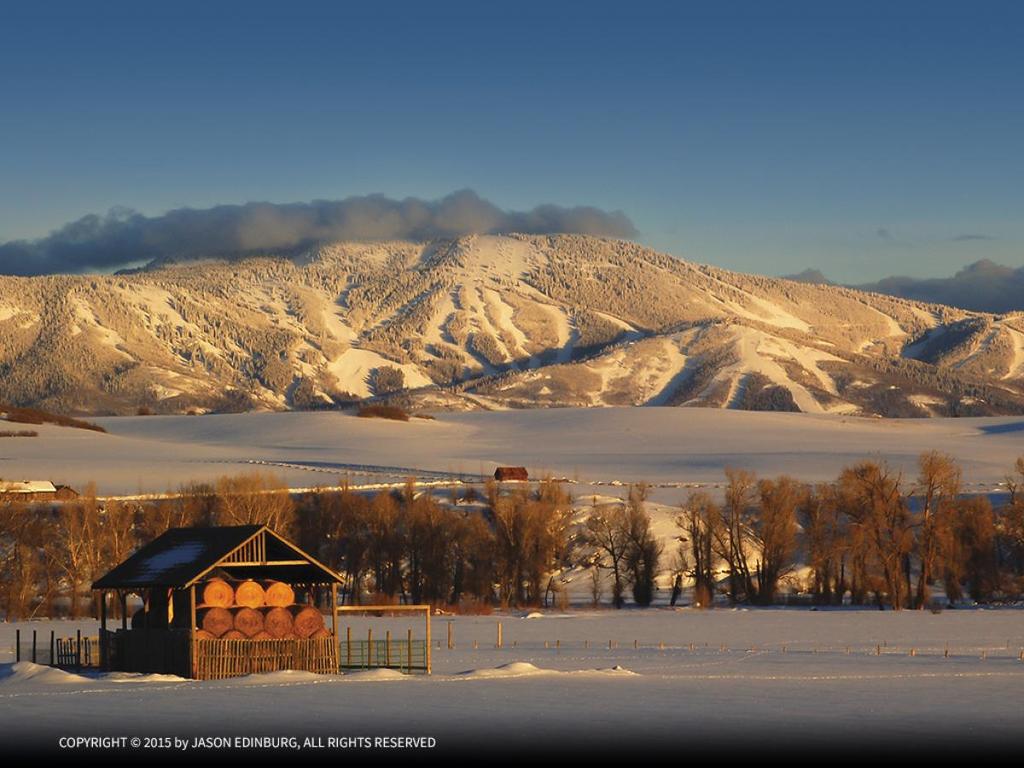 Gondola Square - GSQ35 - thumb 2