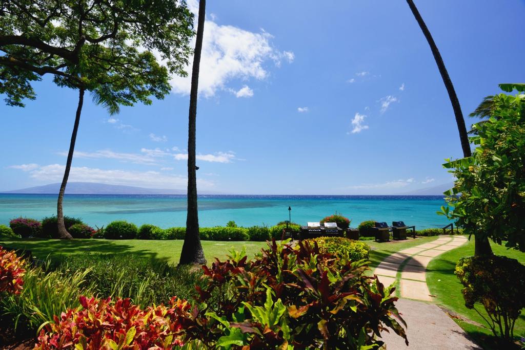 Kuleana 208 - thumb 1