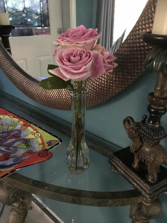 Lauderdale By The Sea - Area - 3BR/2BA - Pool - thumb 3