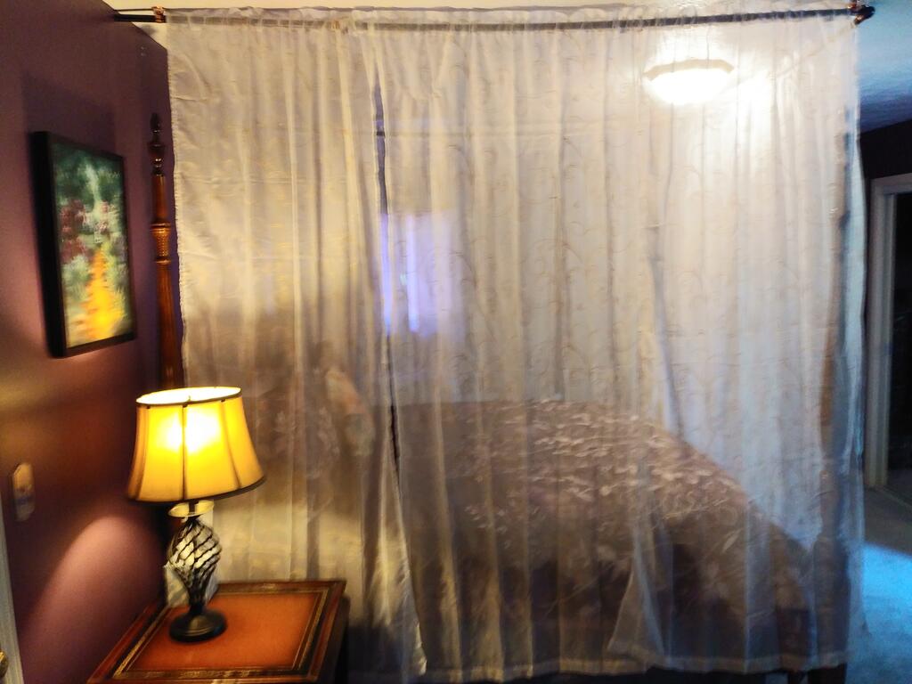 Lil Black Bear Inn - thumb 1