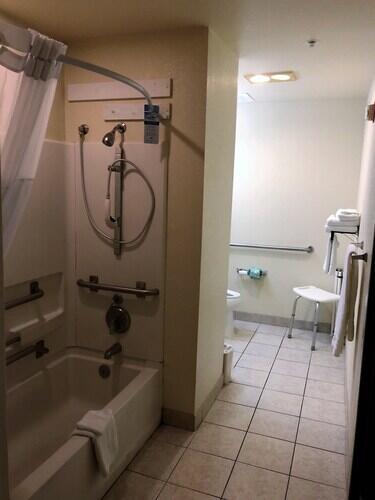 Microtel Inn & Suites By Wyndham Tallahassee - thumb 3