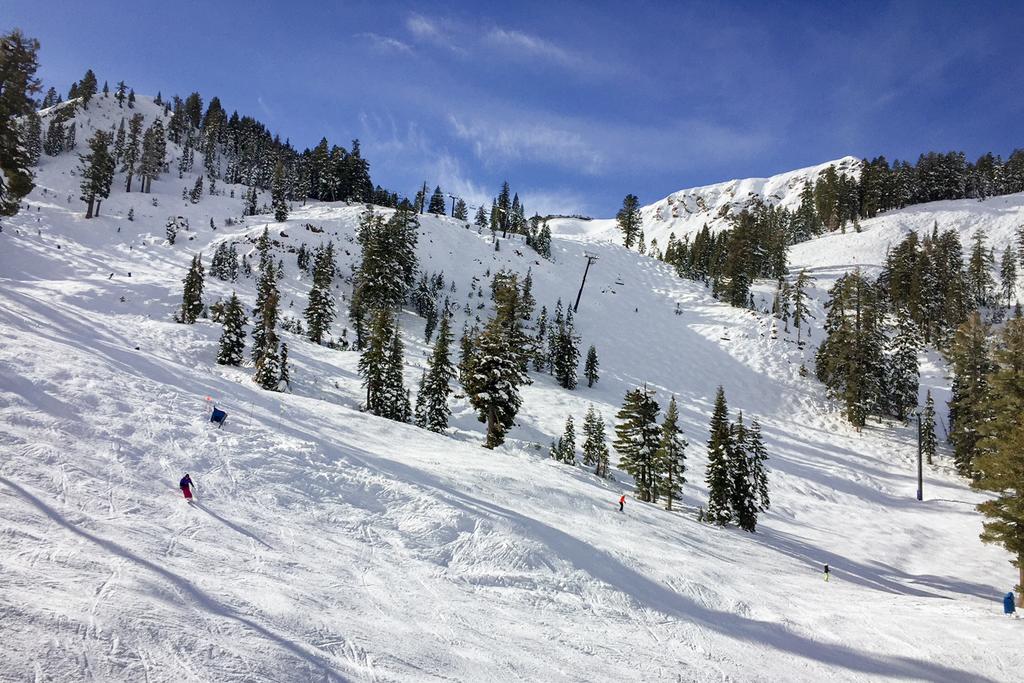 Mountain Flair - thumb 2