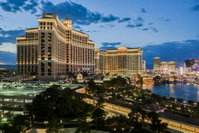StripViewSuites at Jockey Club Accommodation Indiana
