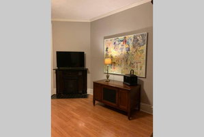 Upscale Open Concept Apt. Haynies Corner Downtown