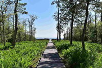 Villa R On The Bay Accommodation Indiana