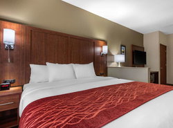 Comfort Inn & Suites Montgomery East Carmichael Rd