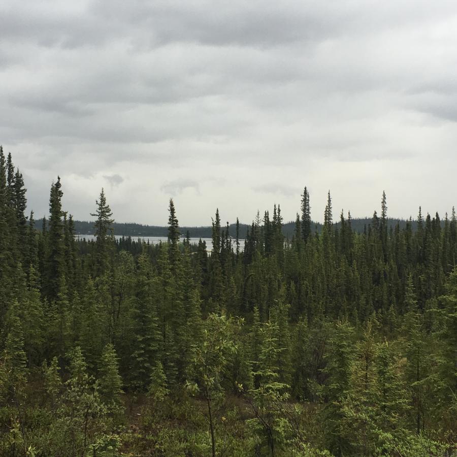 Point Lodge Alaska - thumb 24