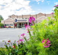 Wedgewood Resort - Accommodation Indiana