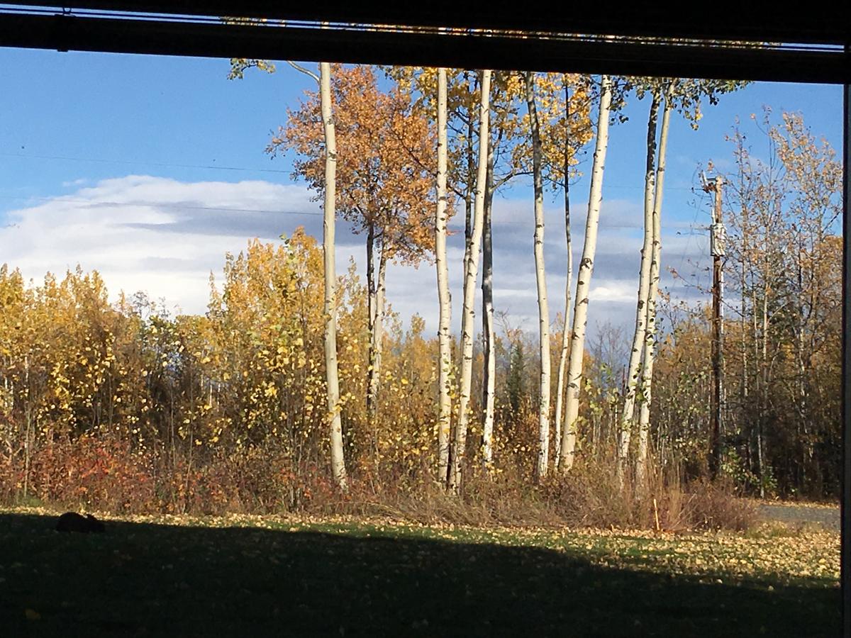 Sawing Logzz Bed And Breakfast - thumb 39