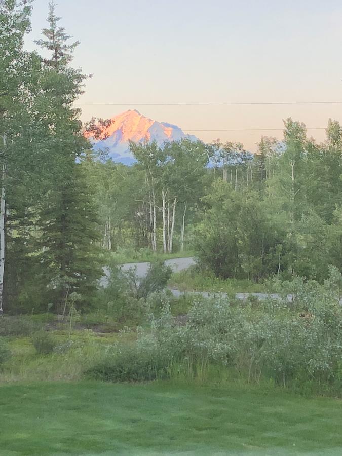 Sawing Logzz Bed And Breakfast - thumb 28