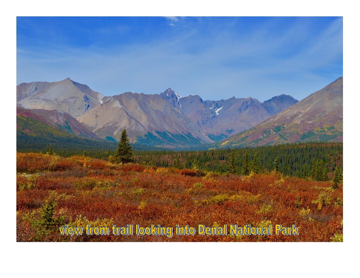 The Runway House - thumb 22