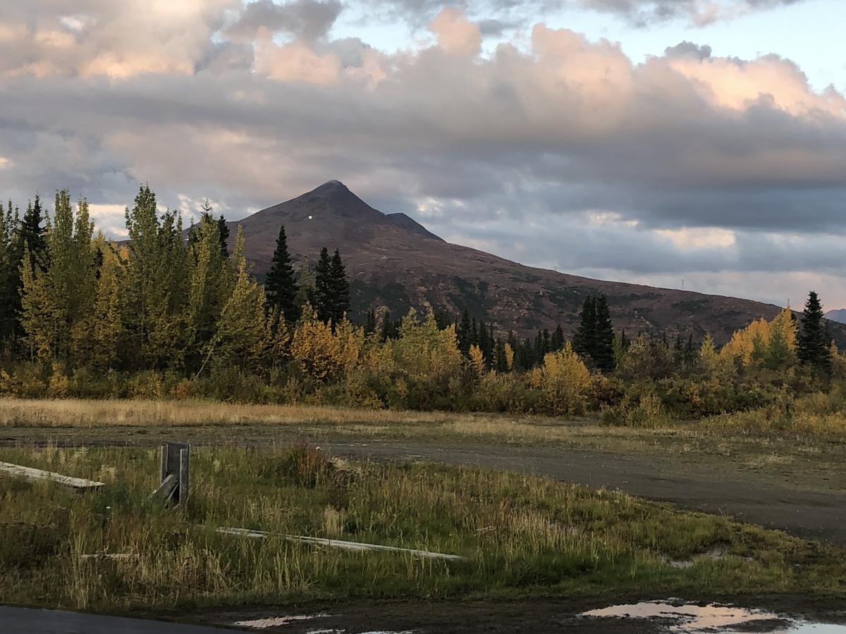 The Runway House - thumb 5