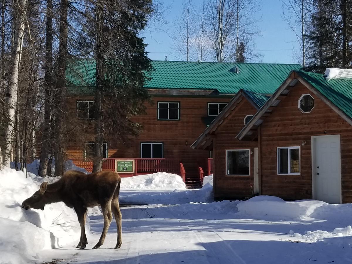 Talkeetna Hideaway - thumb 11