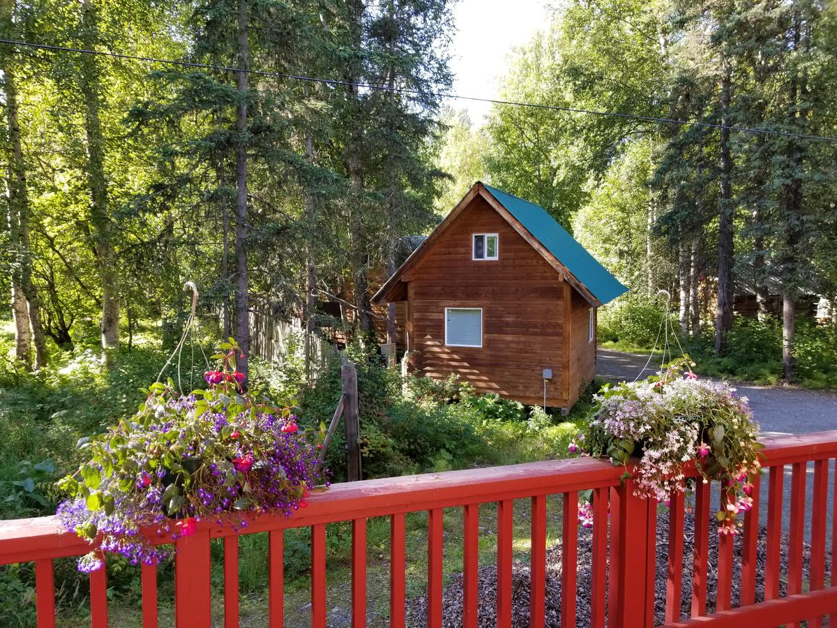 Talkeetna Hideaway - thumb 13