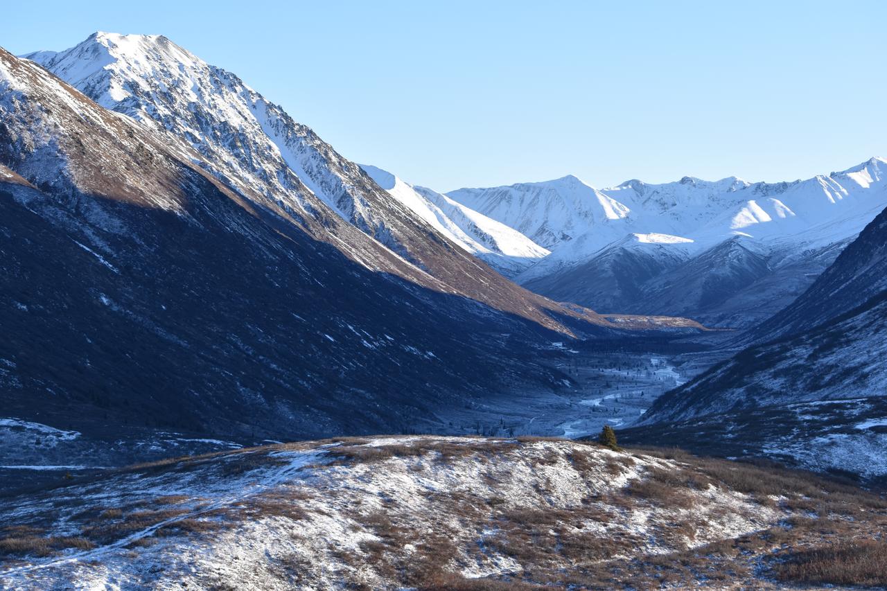 Backwoods Lodge - thumb 11