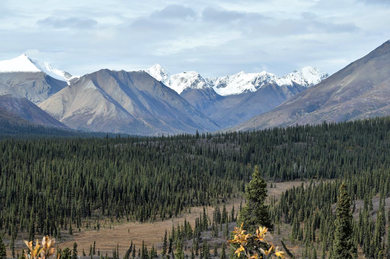 Backwoods Lodge - thumb 33