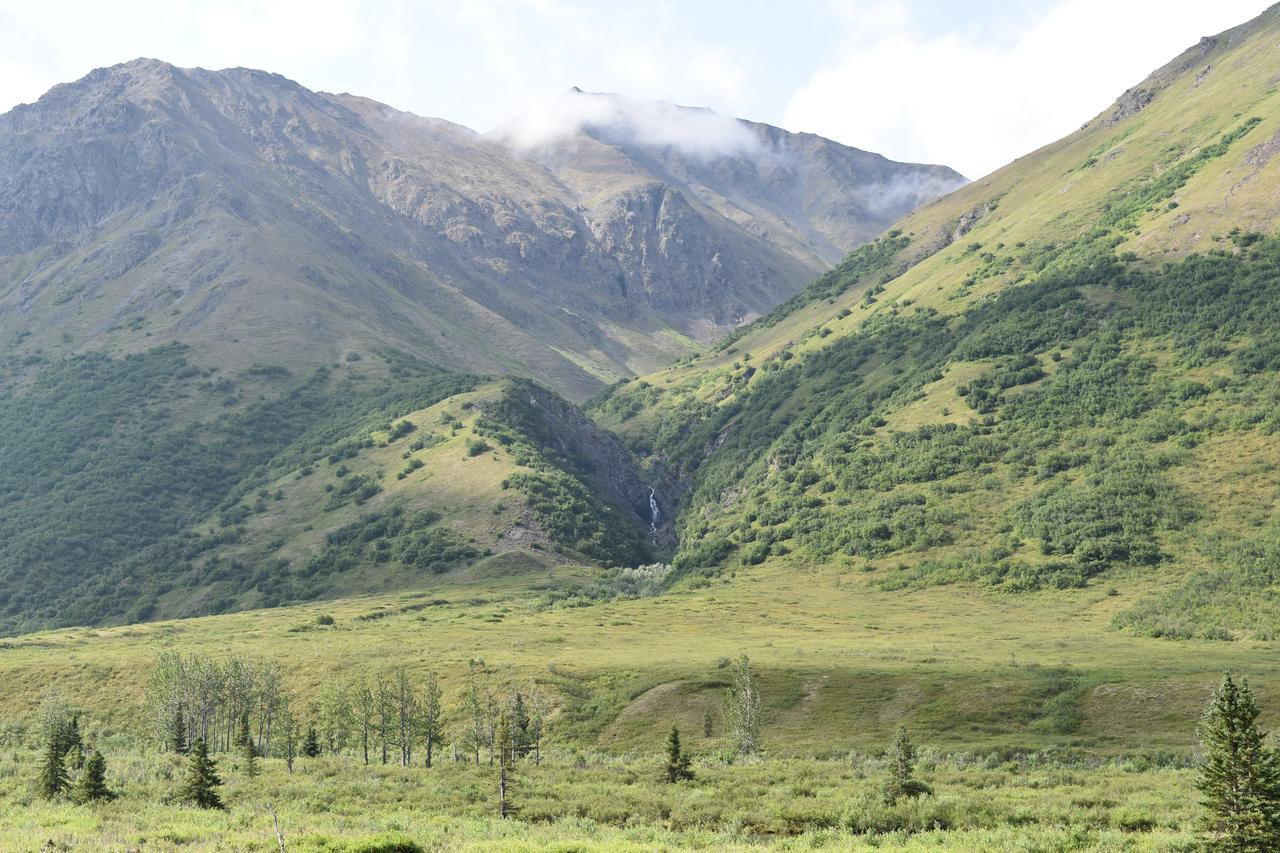 Backwoods Lodge - thumb 27