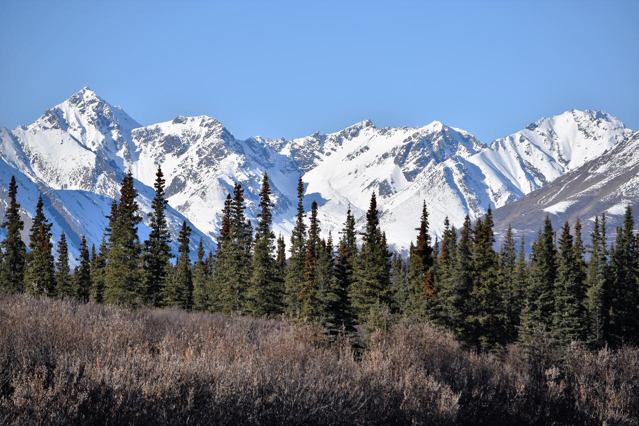 Backwoods Lodge - thumb 39