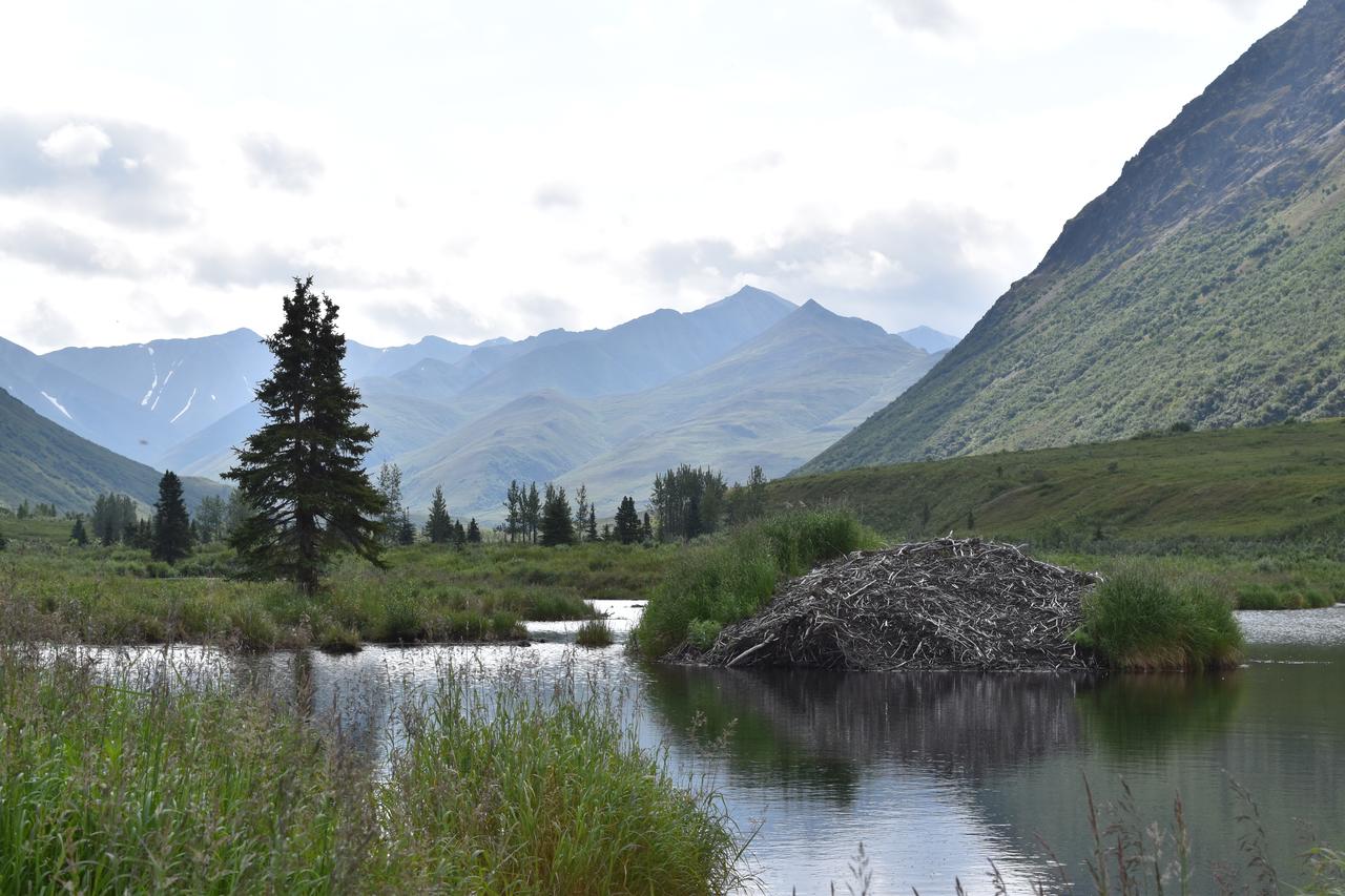 Backwoods Lodge - thumb 28