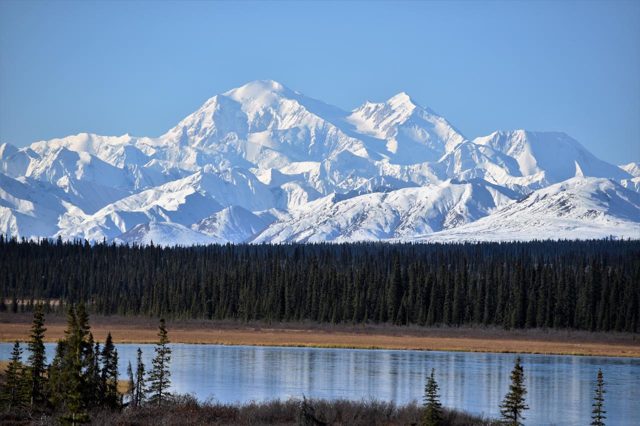 Backwoods Lodge - thumb 40