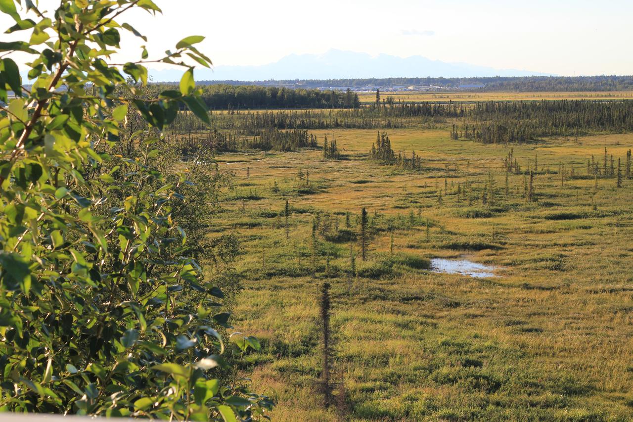 Diamond M Ranch Resort & RV Park - thumb 38