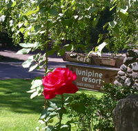 Junipine Resort - Accommodation Indiana