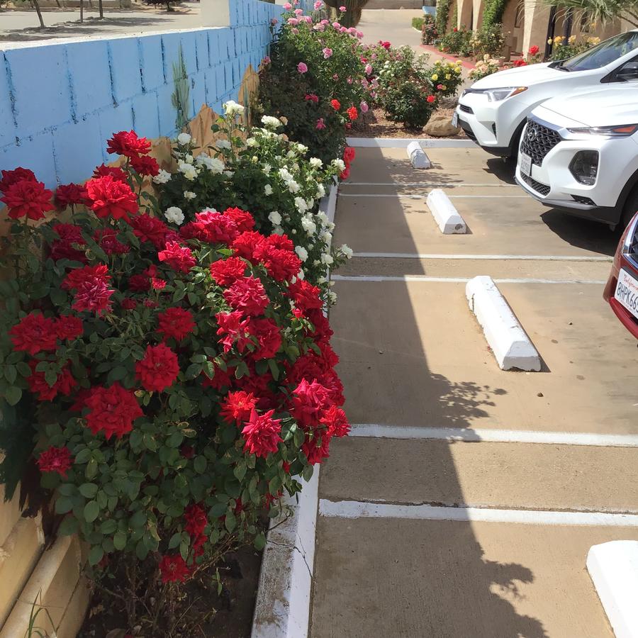 Americas Best Value Inn And Suites -Yucca Valley - thumb 12