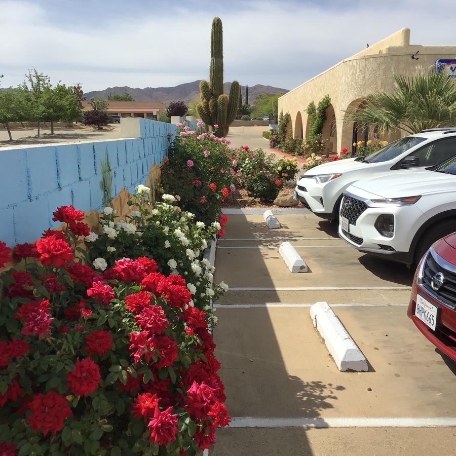 Americas Best Value Inn And Suites -Yucca Valley - thumb 11