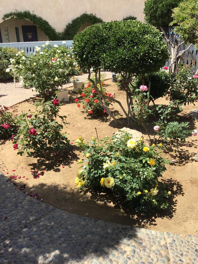 Americas Best Value Inn And Suites -Yucca Valley - thumb 5