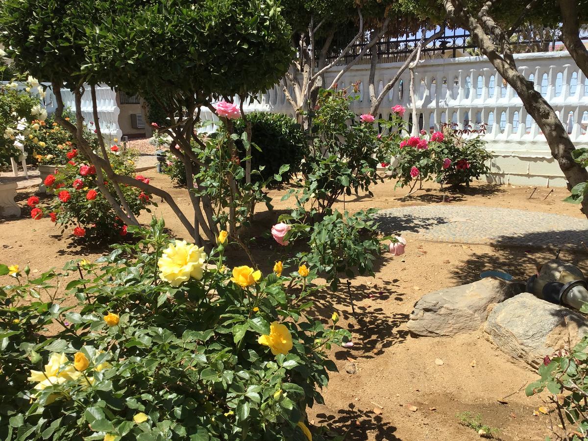 Americas Best Value Inn And Suites -Yucca Valley - thumb 4