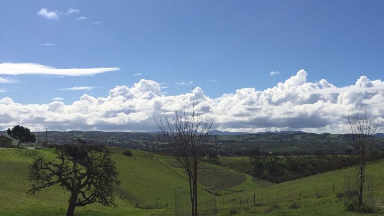 High Ridge Manor - thumb 44