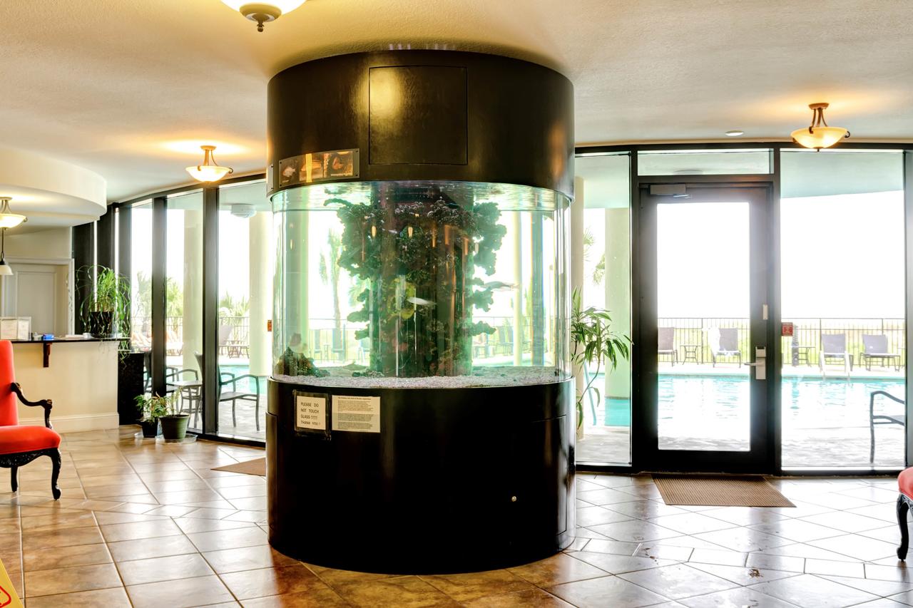 Holiday Isle - thumb 10