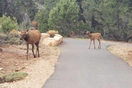 The Hilltop Retreat - thumb 19