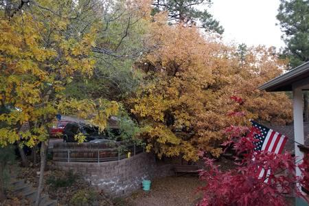 The Hilltop Retreat - thumb 13