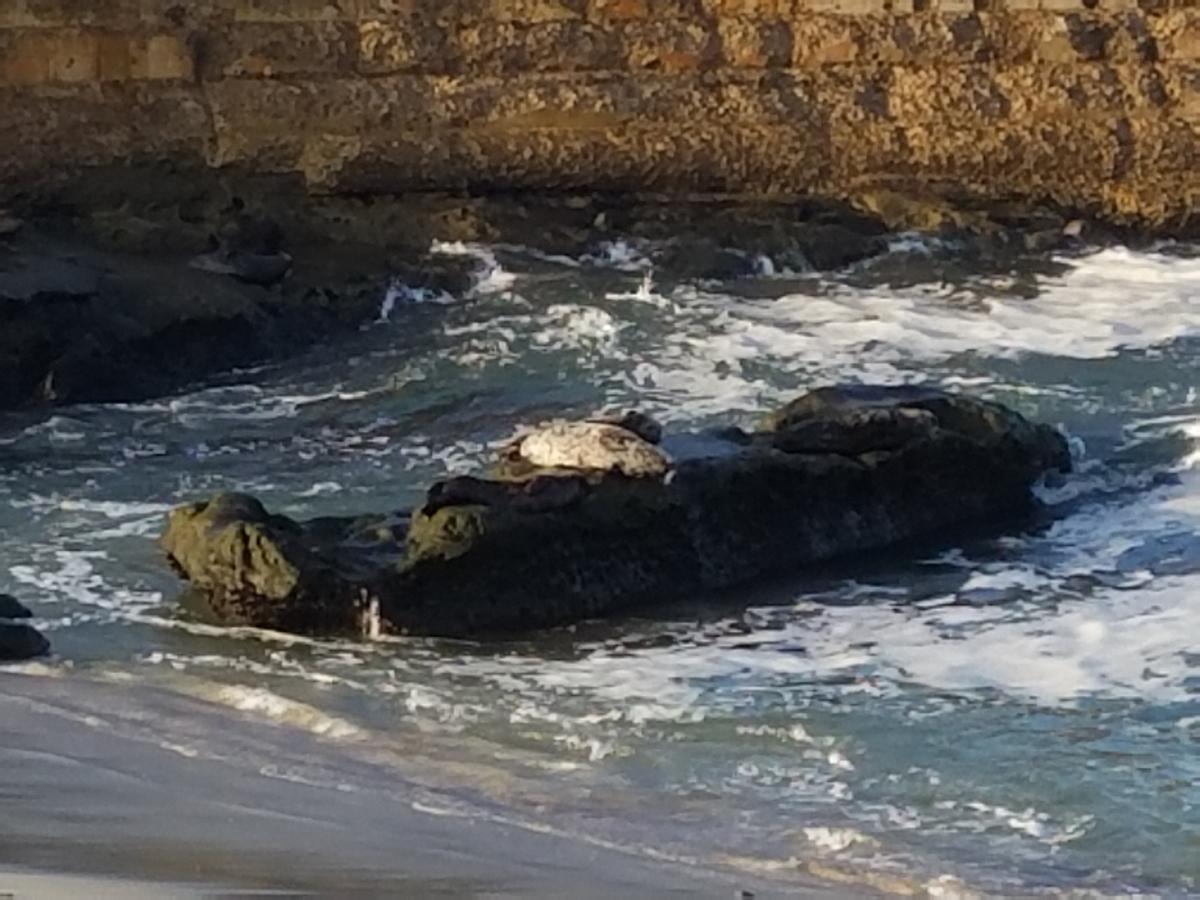 Fashion Valley Apartment A1 - thumb 21