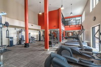 Amazing Apartments near the grove Accommodation Indiana