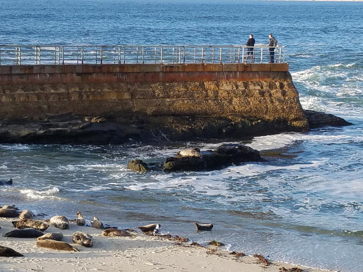 Fashion Valley Apartment D1 - thumb 5