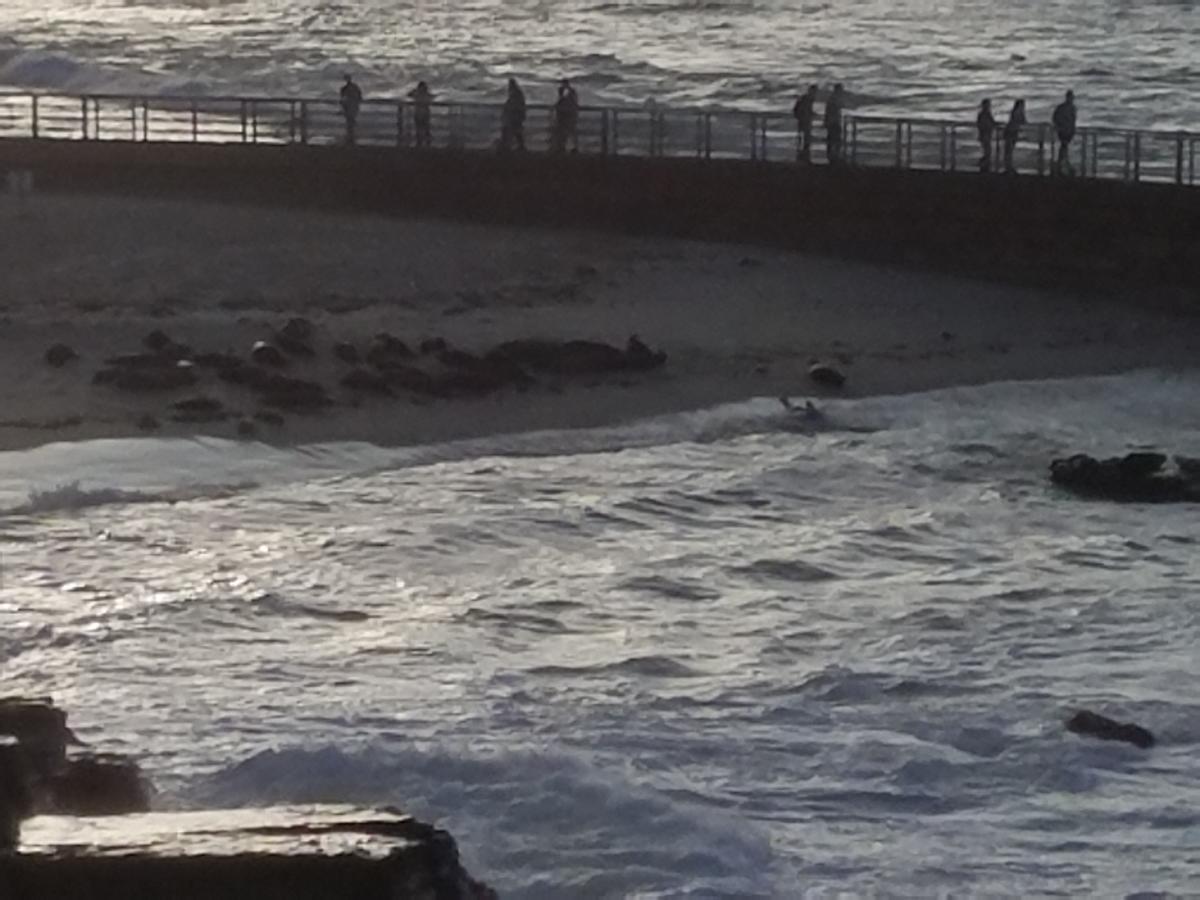 Fashion Valley Apartment D1 - thumb 2