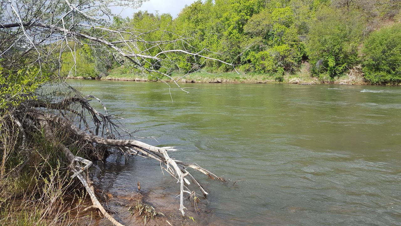 Motel Durango - thumb 33