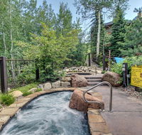 Cozy Slopeside Condo - Accommodation Indiana