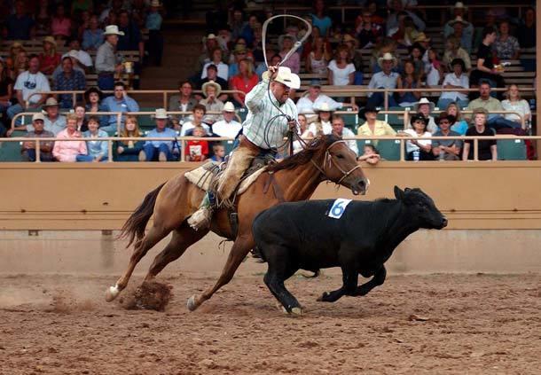 Fairfield Inn And Suites By Marriott Colorado Springs North Air Force Academy - thumb 24
