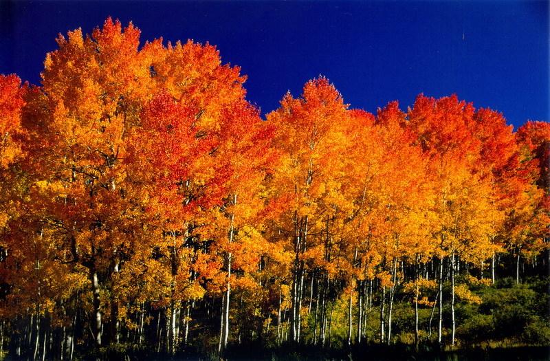 Fairfield Inn And Suites By Marriott Colorado Springs North Air Force Academy - thumb 18