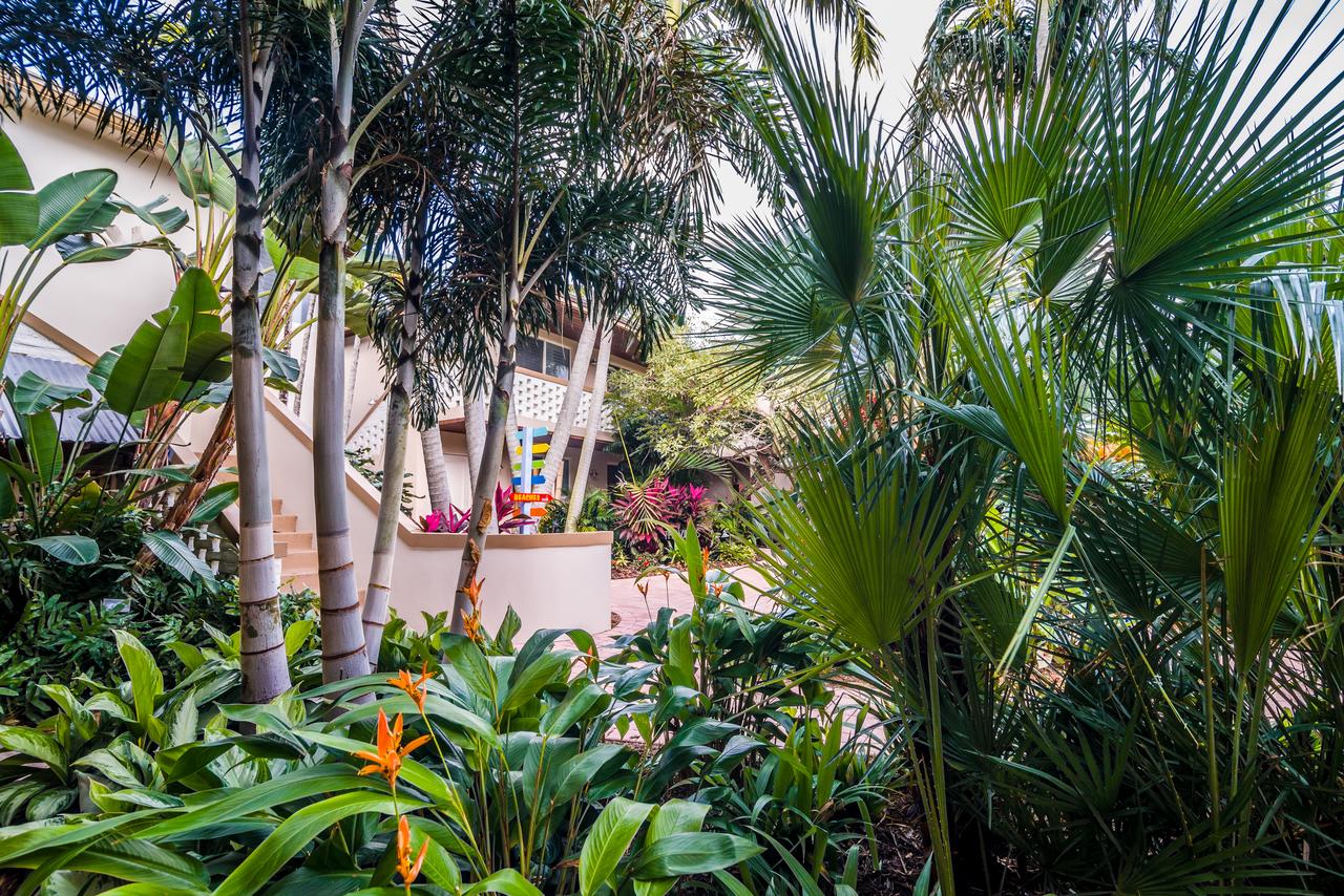 Crane's Beach House Boutique Hotel & Luxury Villas - thumb 21