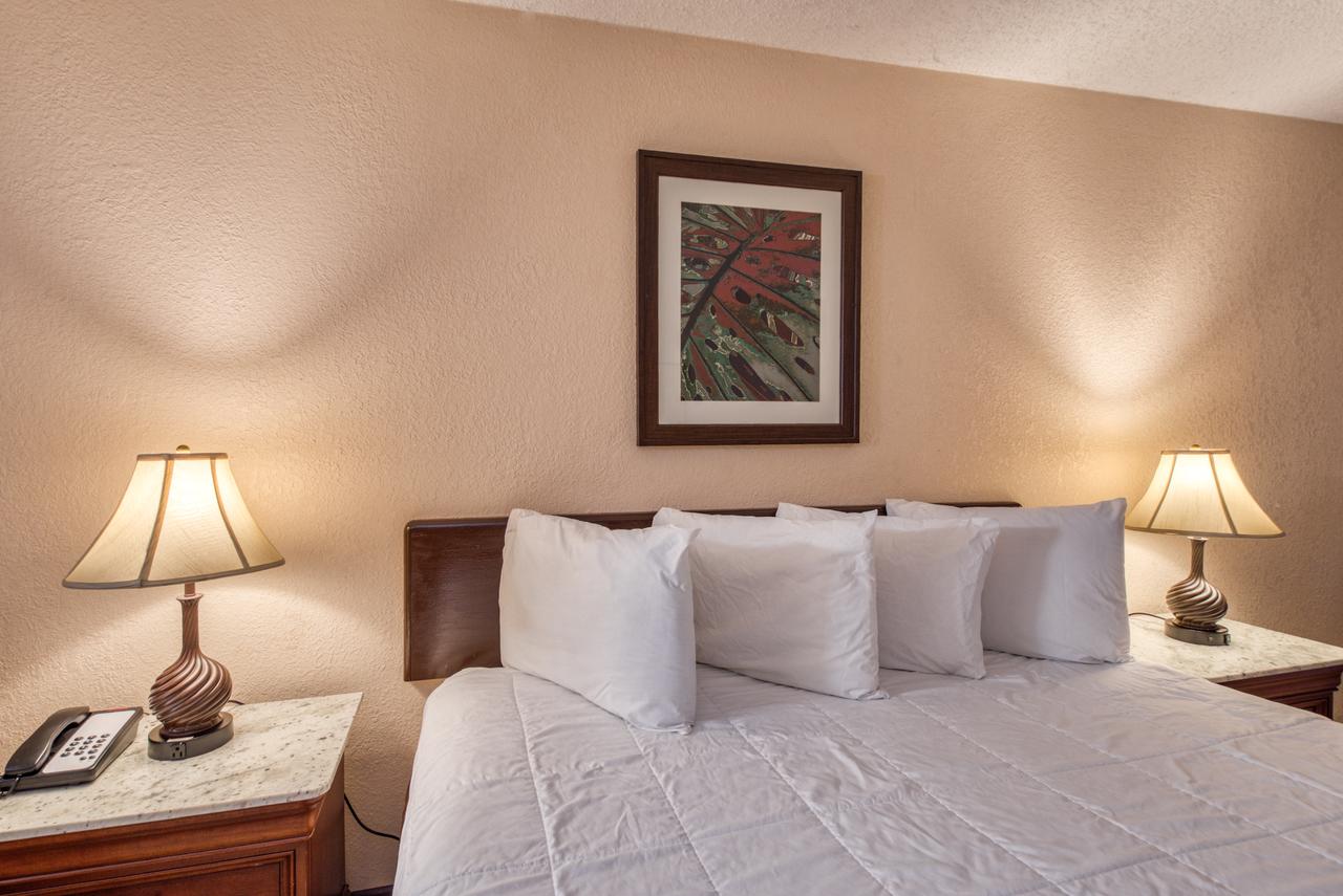 Palms Garden Inn - thumb 12