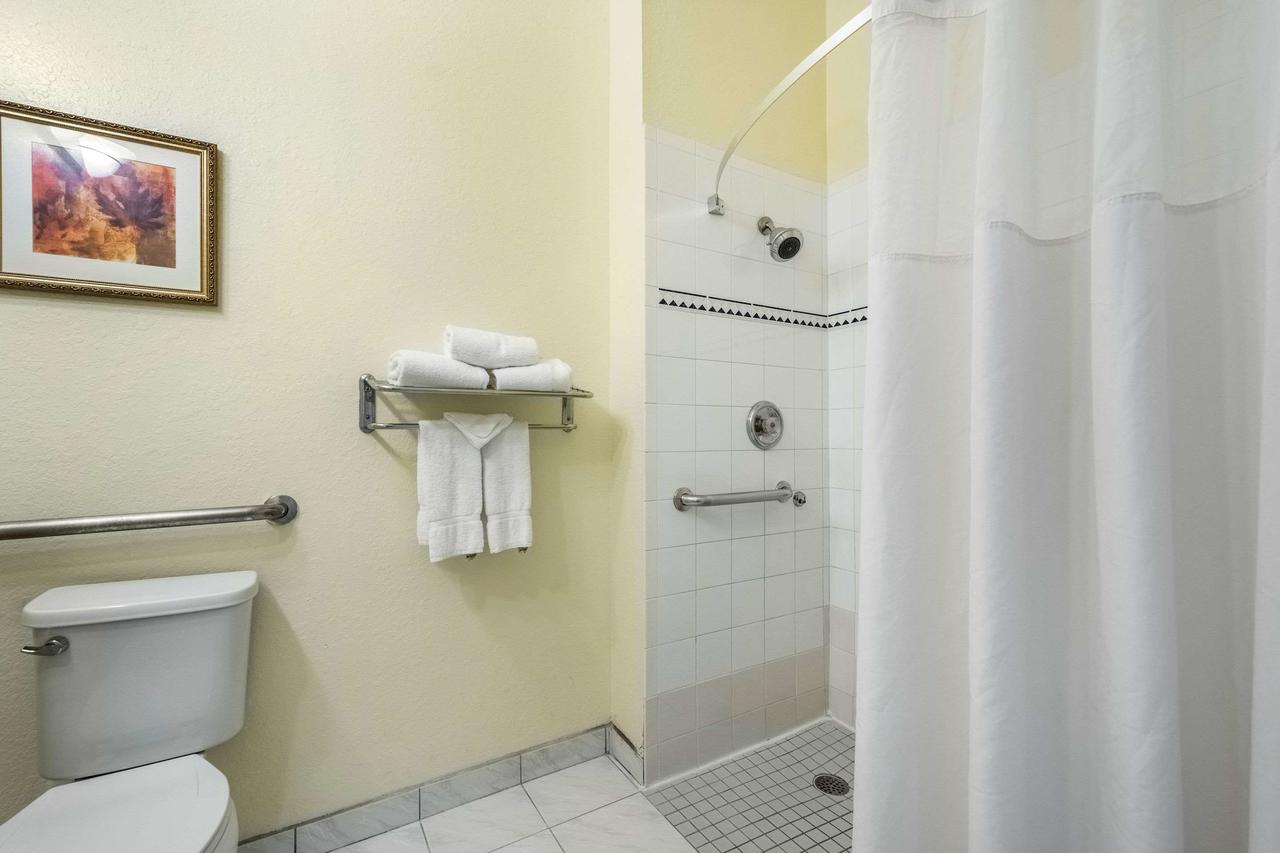 Clarion Inn & Suites Clearwater - thumb 20