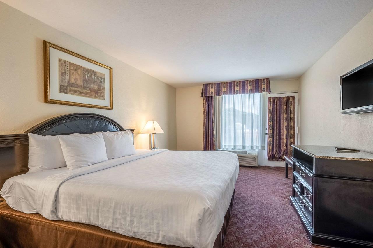 Clarion Inn & Suites Clearwater - thumb 23