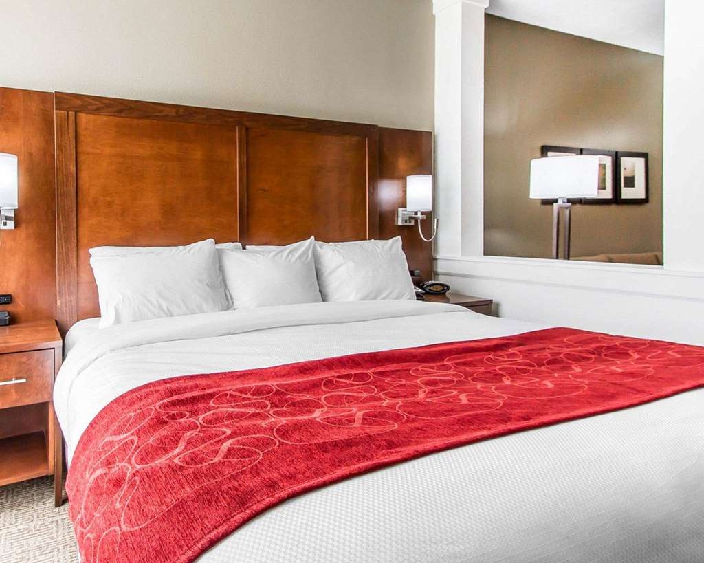 Comfort Suites West Omaha - thumb 5
