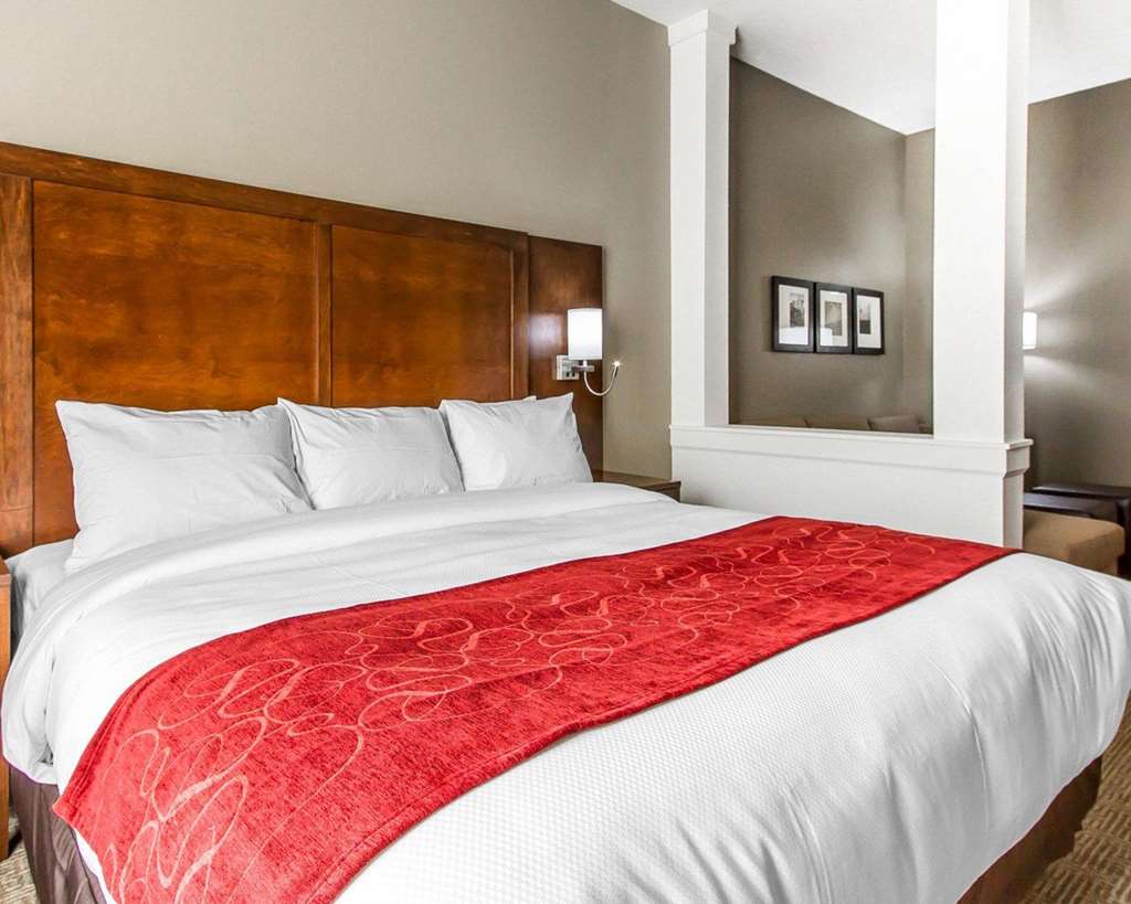 Comfort Suites West Omaha - thumb 7