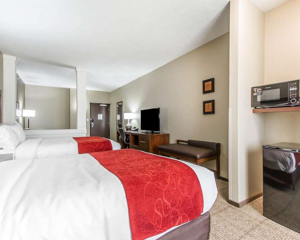 Comfort Suites West Omaha - thumb 13